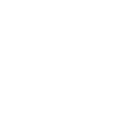 White Email icon