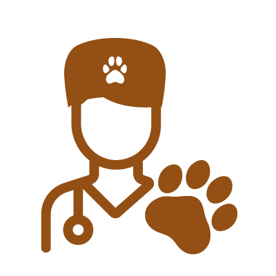 Vaccinations icon