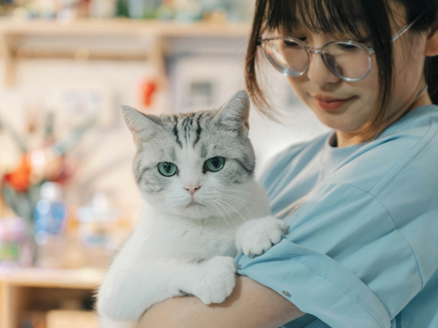 Tailored Vaccination Plans for Dogs and Cats Lady holding a cute pet cat with love