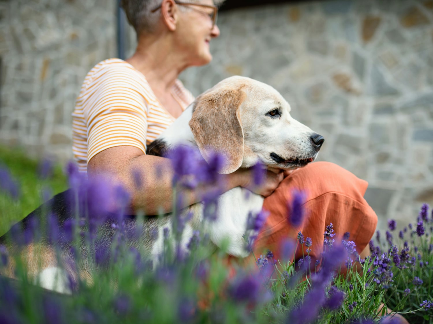 Geriatric Care Banner Women sitting with her pet dog and loving it