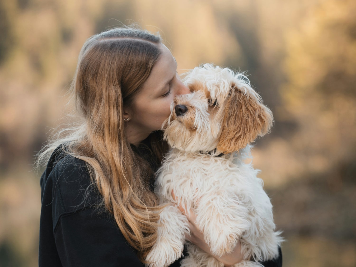 Jobs Banner Girl kissing her cute fluppy dog