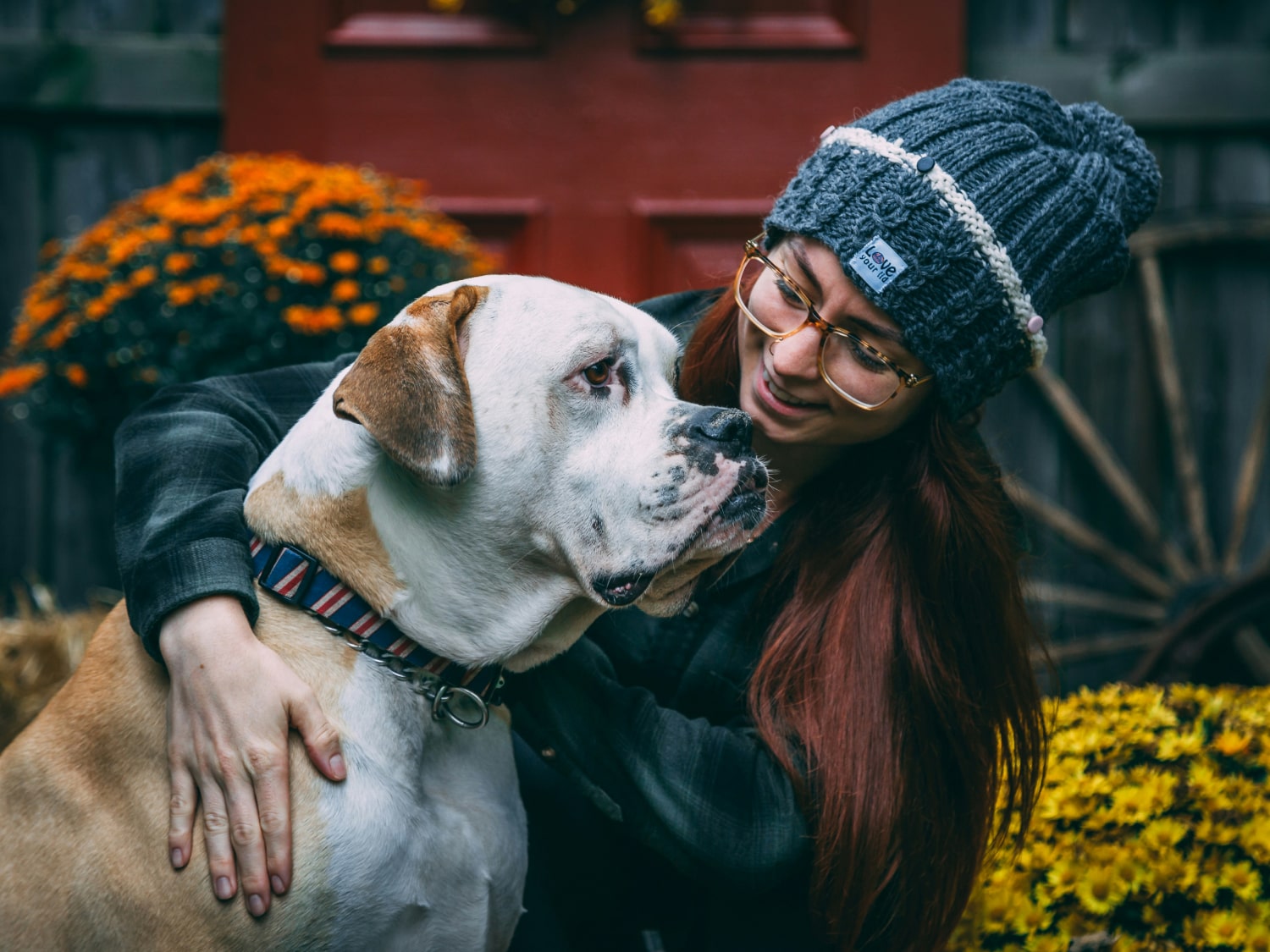 Laboratory Testing Banner Girl with a winter hat loving a cute pet dog