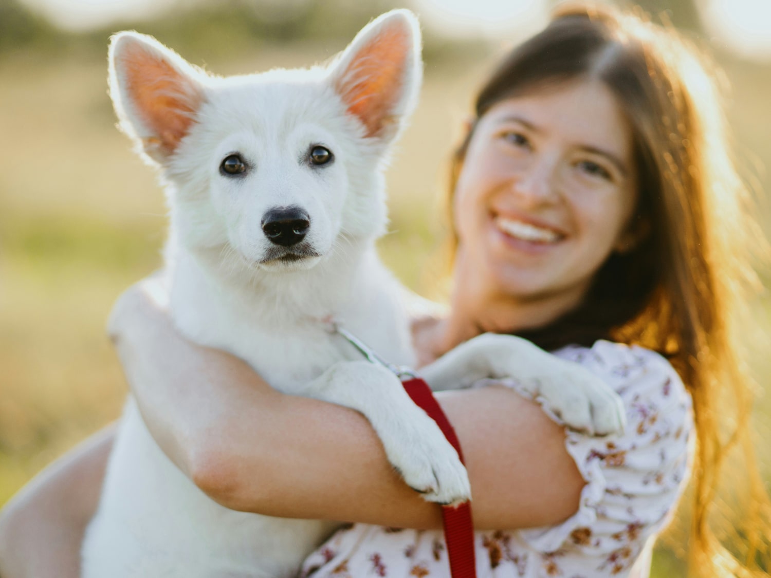 Photo gallery banner Happy girl with her cute pet dog in the park