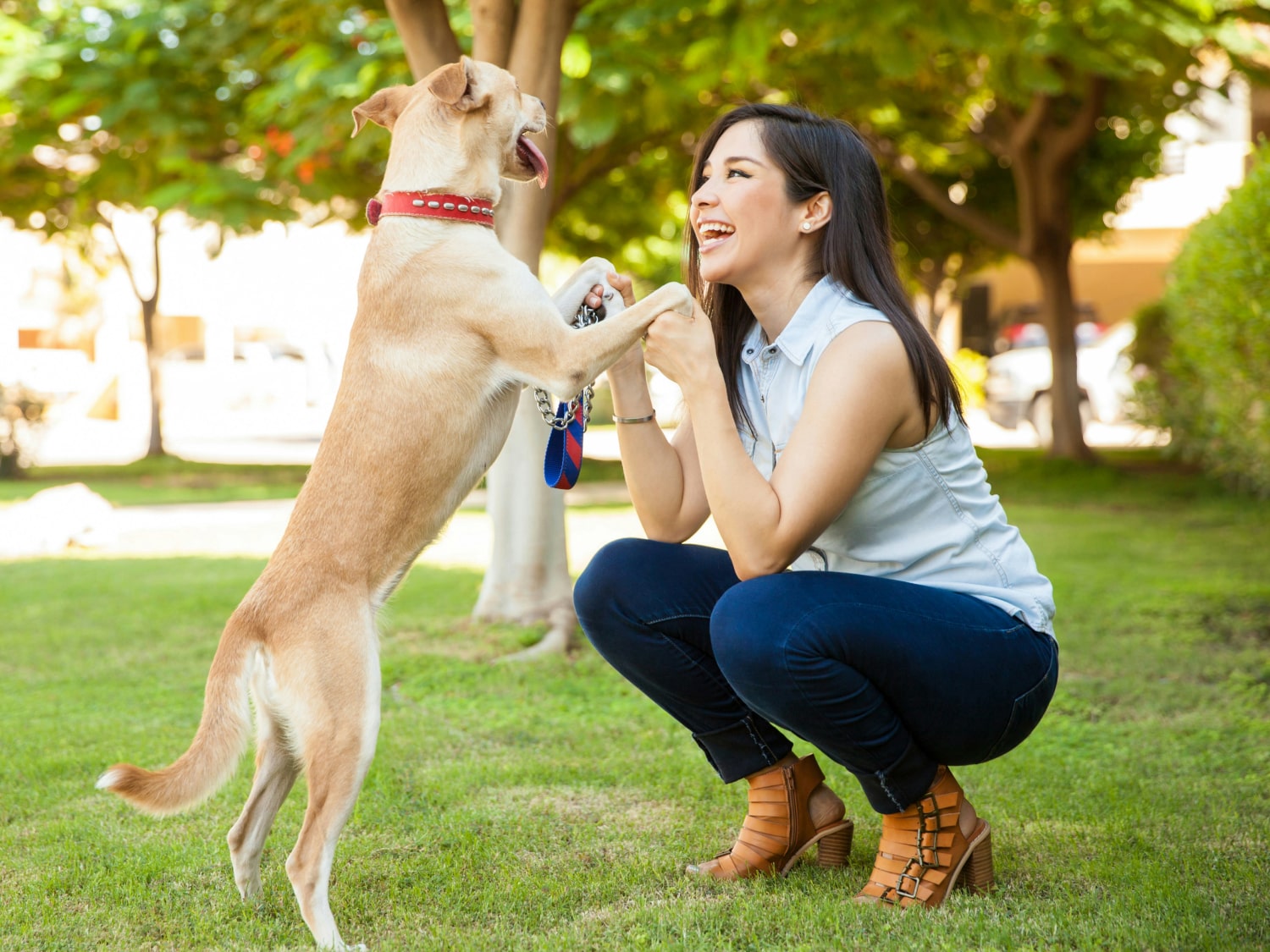 Read Our Reviews Banner Happy girl with her pet dog playing in a park