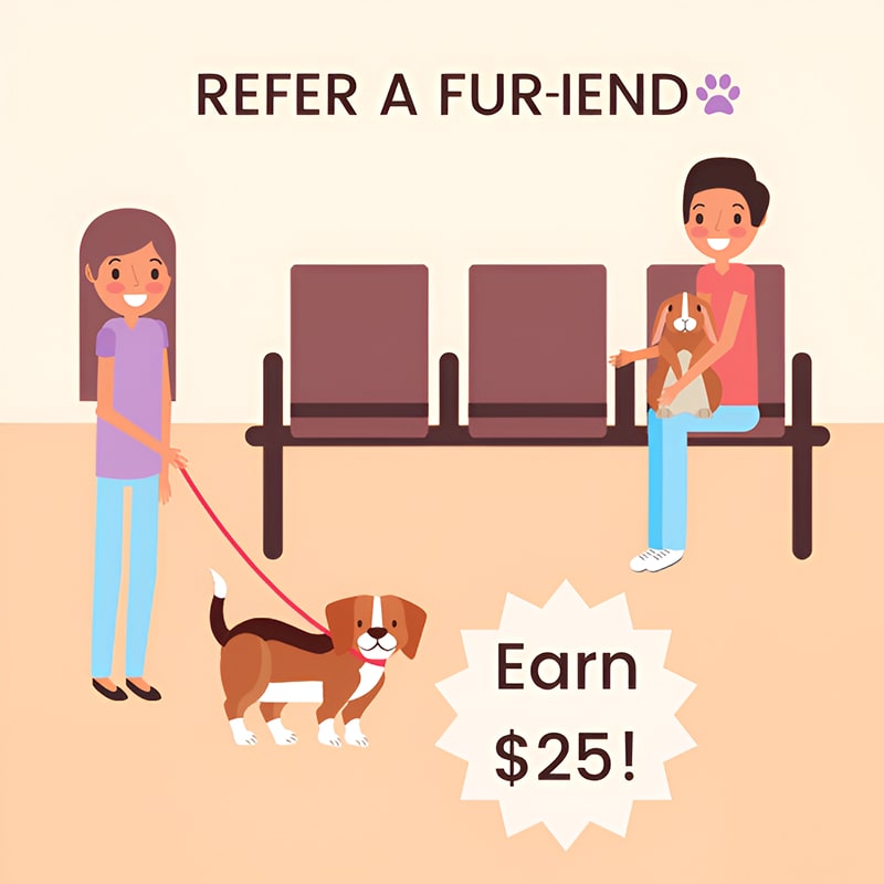 Refer a furiend