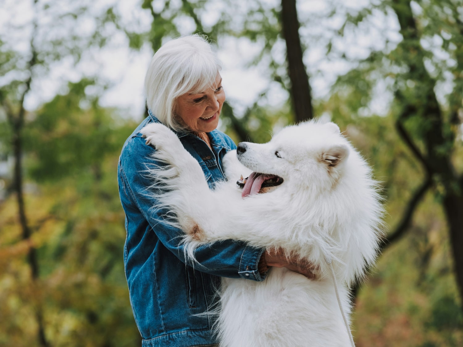 Happy old lady with her fluppy pet dog in the park