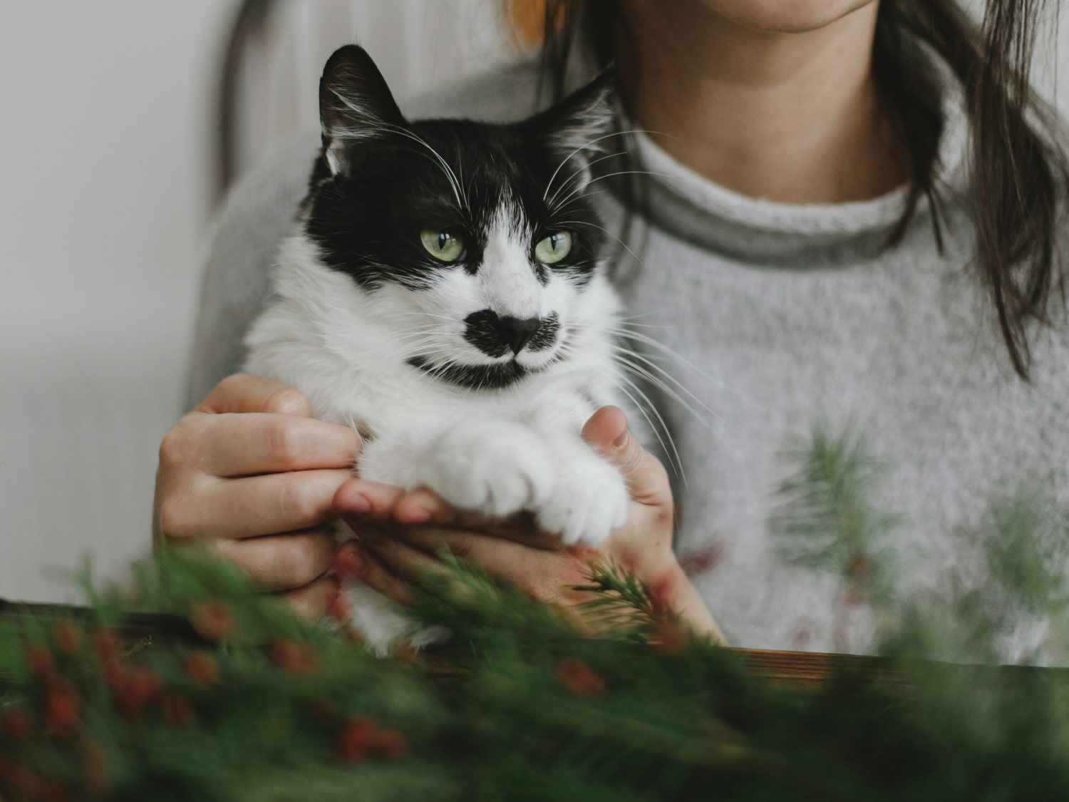 What’s Included in Senior Pet Care Girl loving her old pet cat