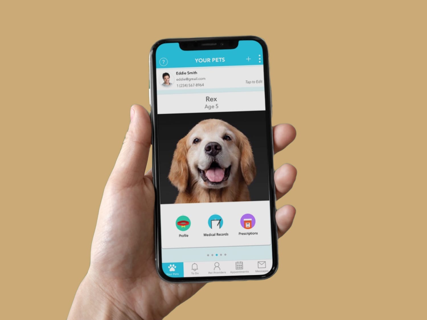 Pet desk app opened in mobile