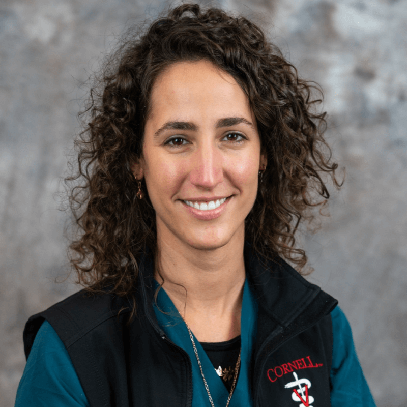 Dr. Bettale Dr. Bettale